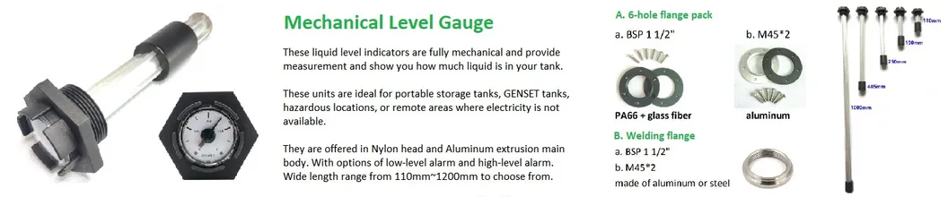 Fuel Tank Level Gauge with Option of Bsp1 1/2 and M45*2 Thread