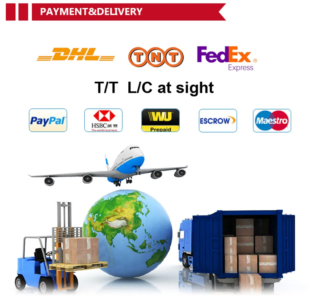 New Diesel 6 Cylinders Low Noise Powerful Water Cooled Engine