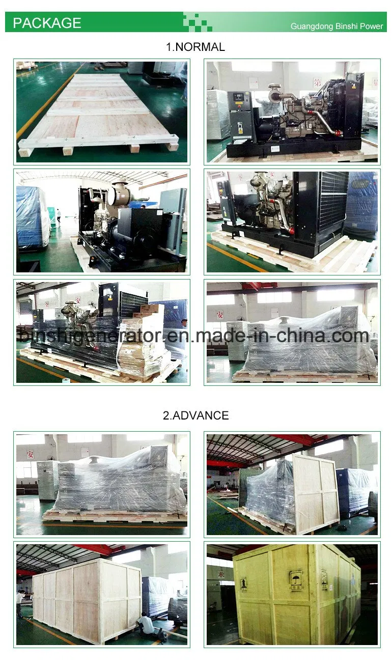 German Mtu Diesel Generator Set (800kw)
