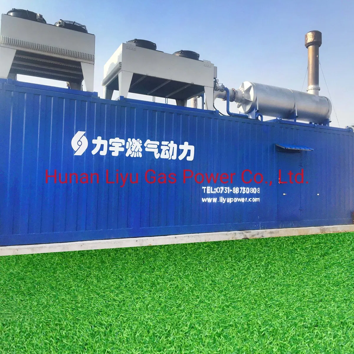 Global Warranty 1000kw Biomass Gas Cchp with Generator Manufacturer