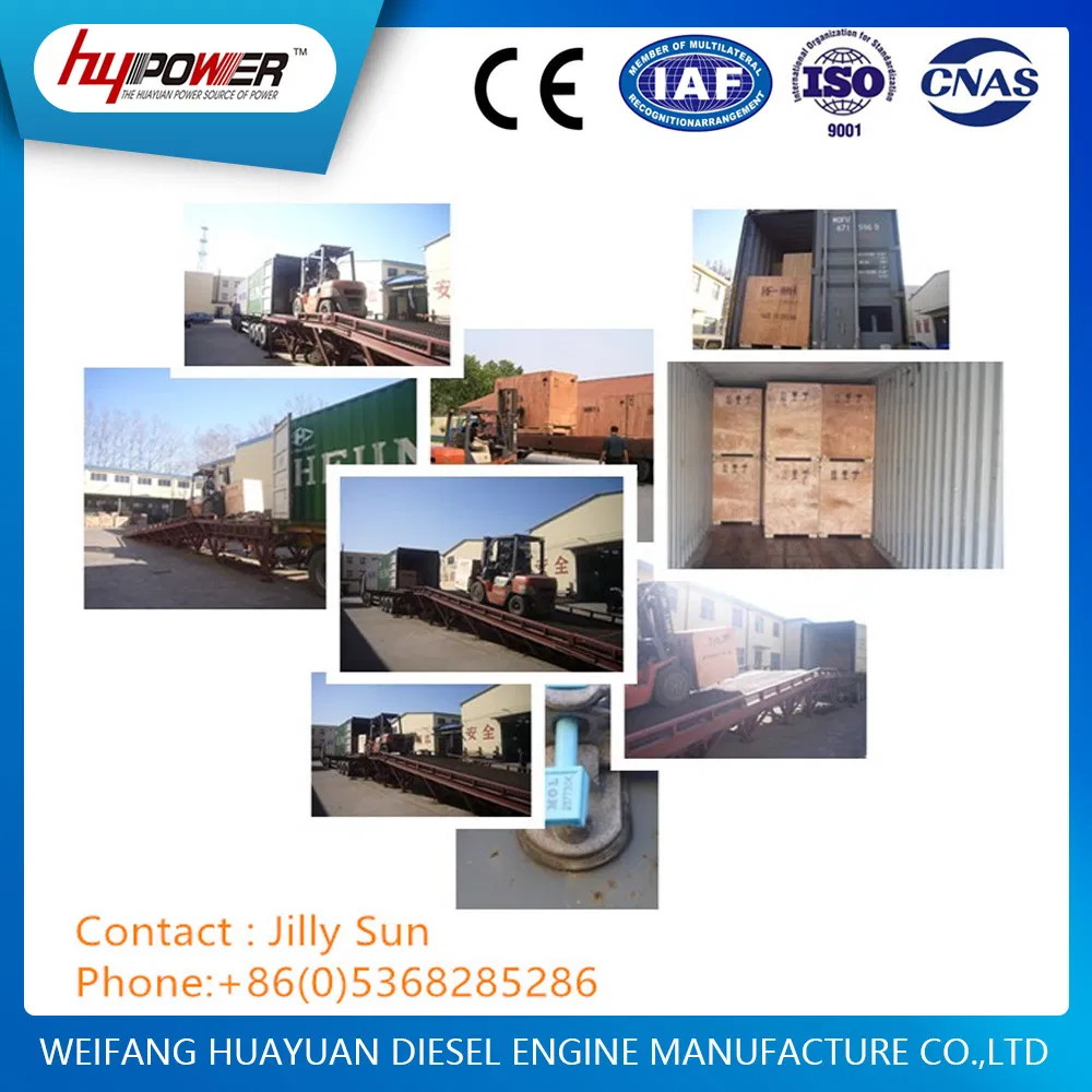 Green Source, Hot Selling! 250kw Deutz Engine Gas Generator Set