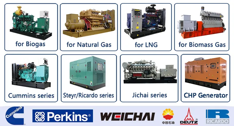 High Performance Landfill Gas Coal Gas Generator