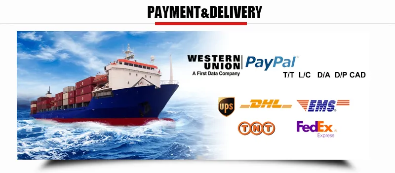 High Quality 240kw Natural Gas/Biogas/LPG Generator Set with ATS System