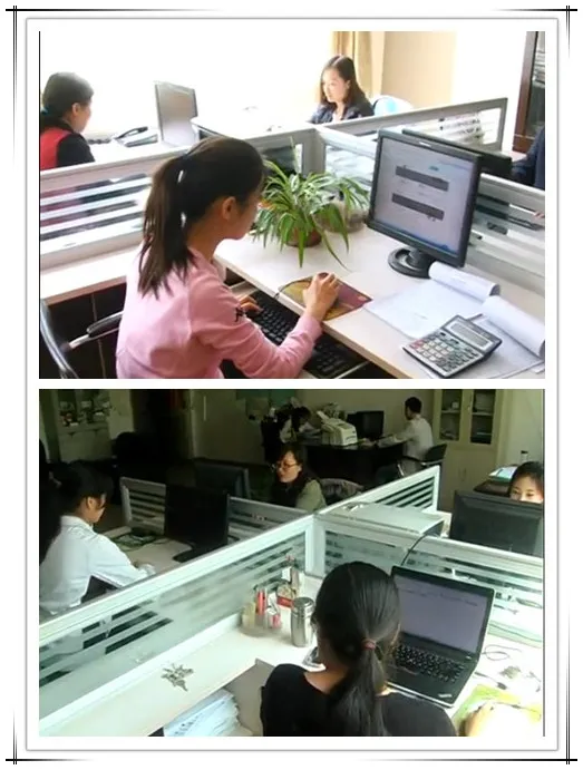 High Quality 240kw Natural Gas/Biogas/LPG Generator Set with ATS System