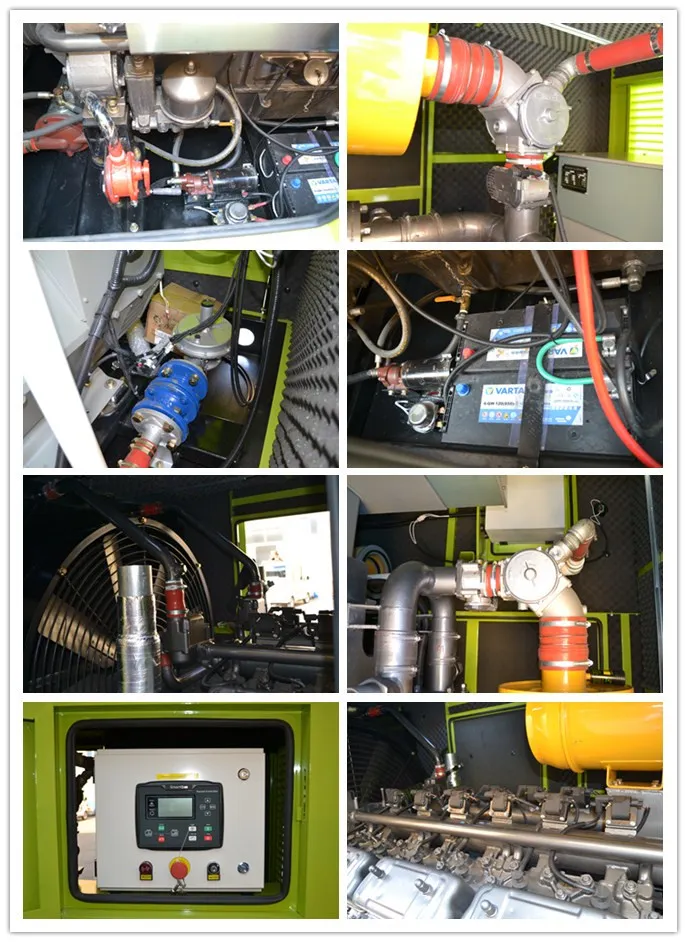 High Quality 240kw Natural Gas/Biogas/LPG Generator Set with ATS System