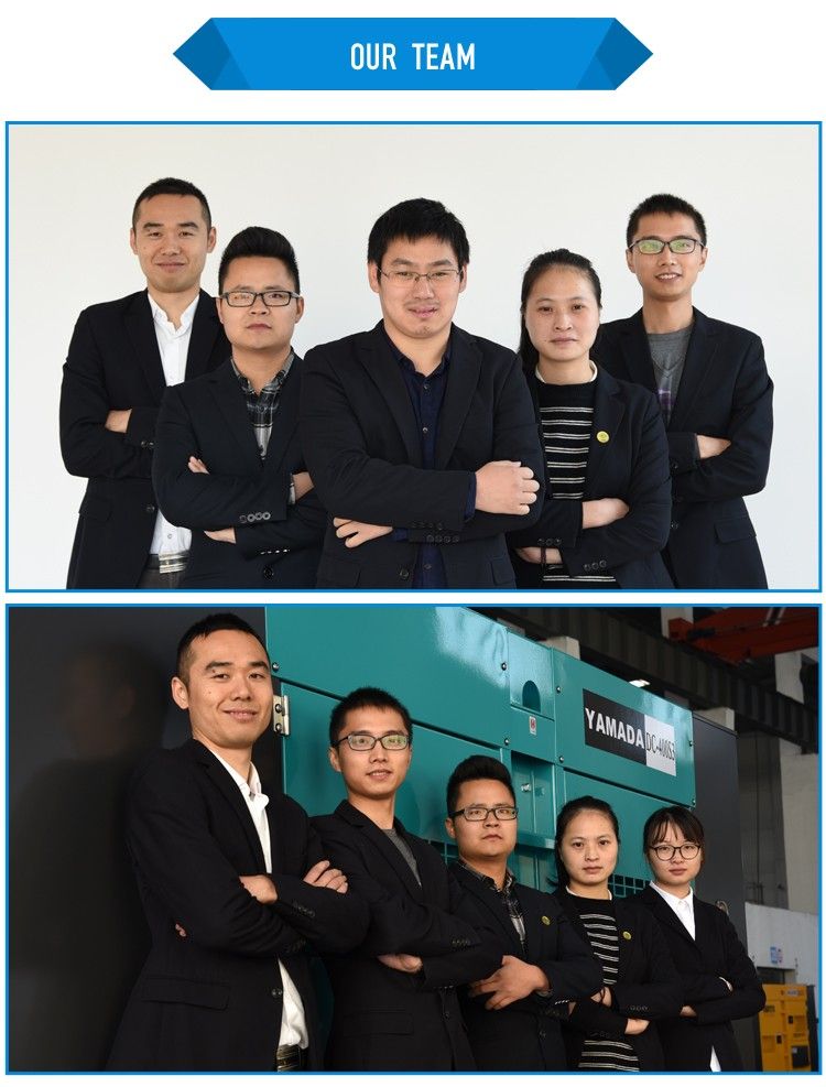 High Quality with Factory Price for Silent Diesel Generator