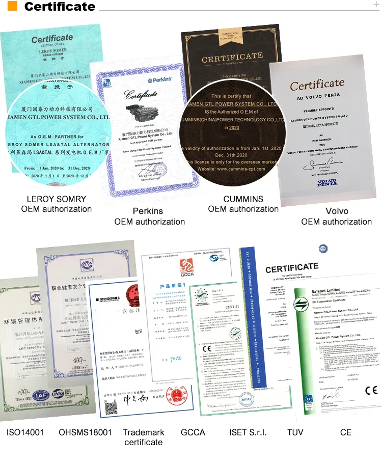 Hot Sale 250kw 313kVA Diesel Generating Sets Standby Power 350kVA 280kw Diesel Generator 50Hz 1500rpm From Gtl