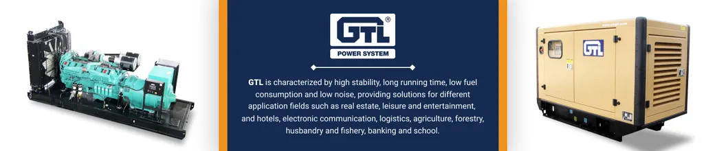 Hot Sale 250kw 313kVA Diesel Generating Sets Standby Power 350kVA 280kw Diesel Generator 50Hz 1500rpm From Gtl