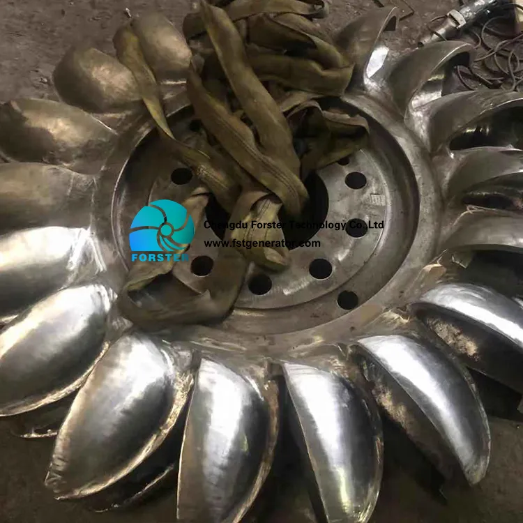 Hydro Turbine Electric Generator Price with Low Head