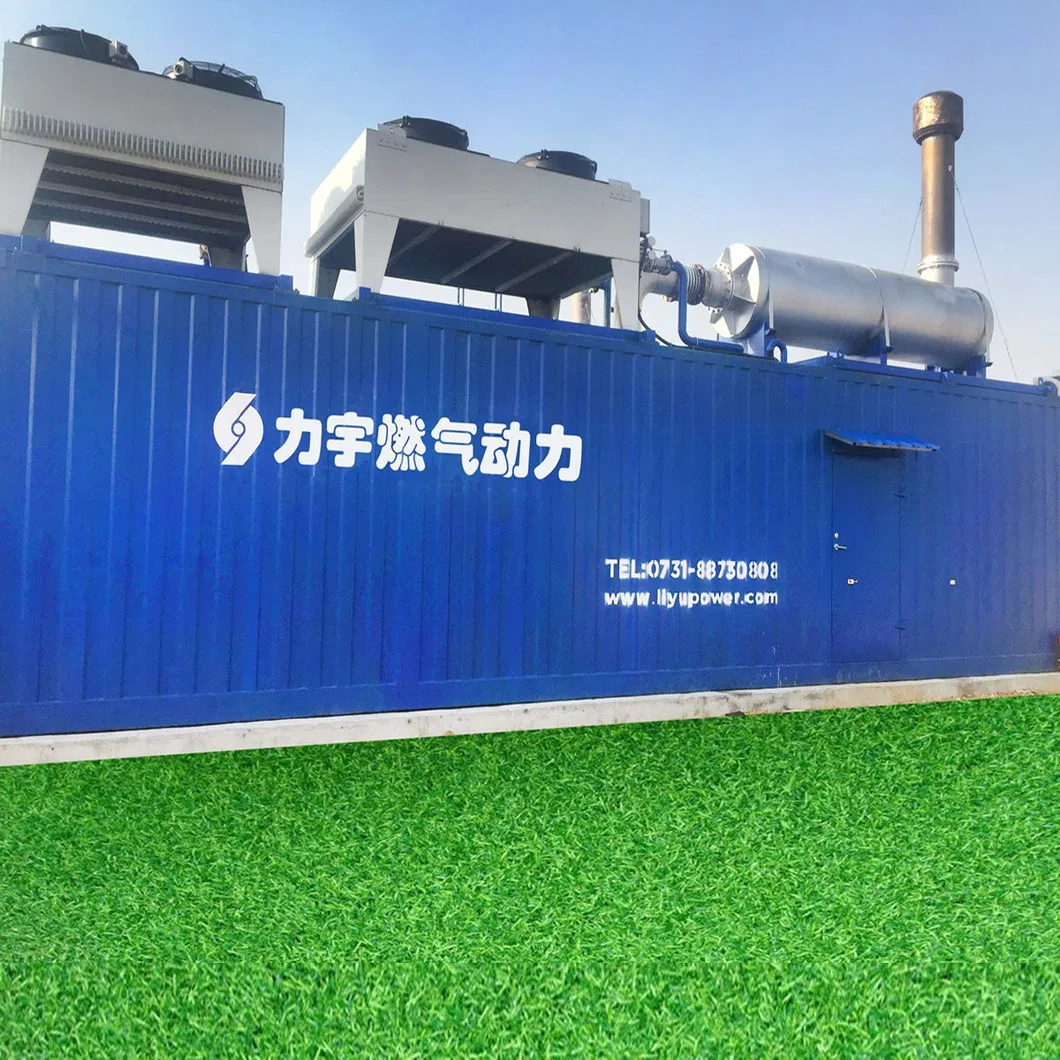 Liyu 1000kw Low Voltage 5%-30% Low Concentration Methane Gas Engine Generator Set