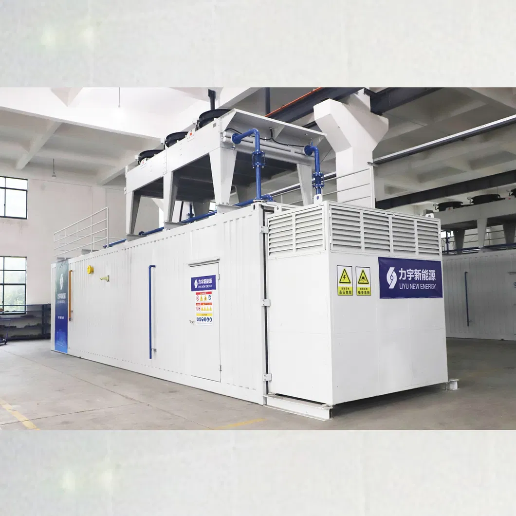 Liyu 1000kw Low Voltage 5%-30% Low Concentration Methane Gas Engine Generator Set