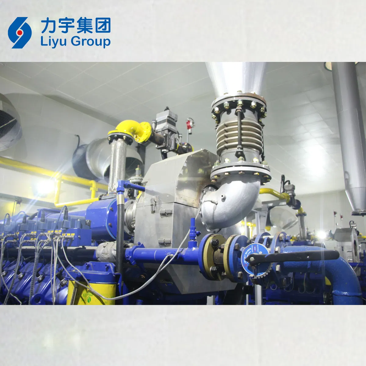 Liyu 1MW High Voltage Low Concentration Methane Gas Engine Genet Made in China