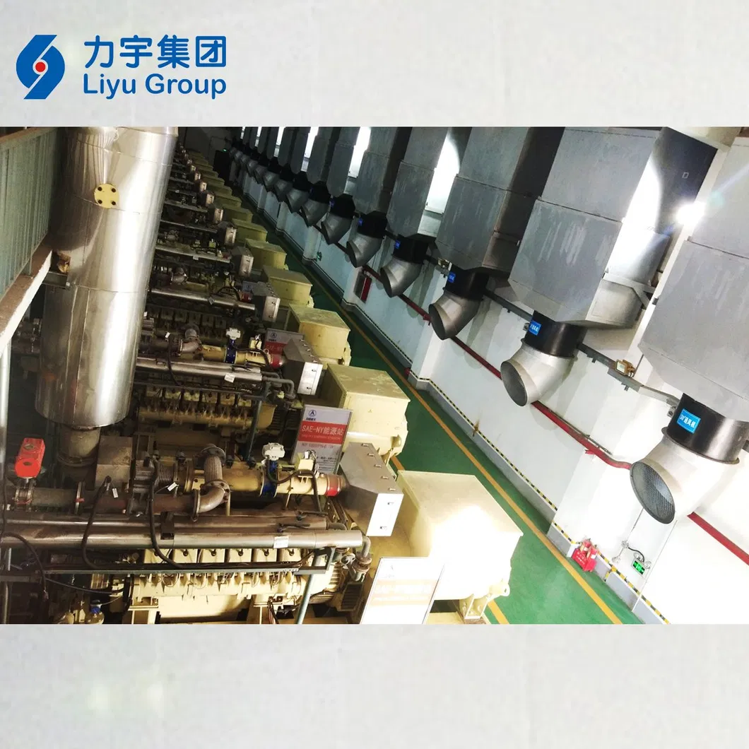 Liyu Distributed Power Plants 1500kw High Economic Efficiency and Availability LV High Concentration Methane Gas Energy Generator Set