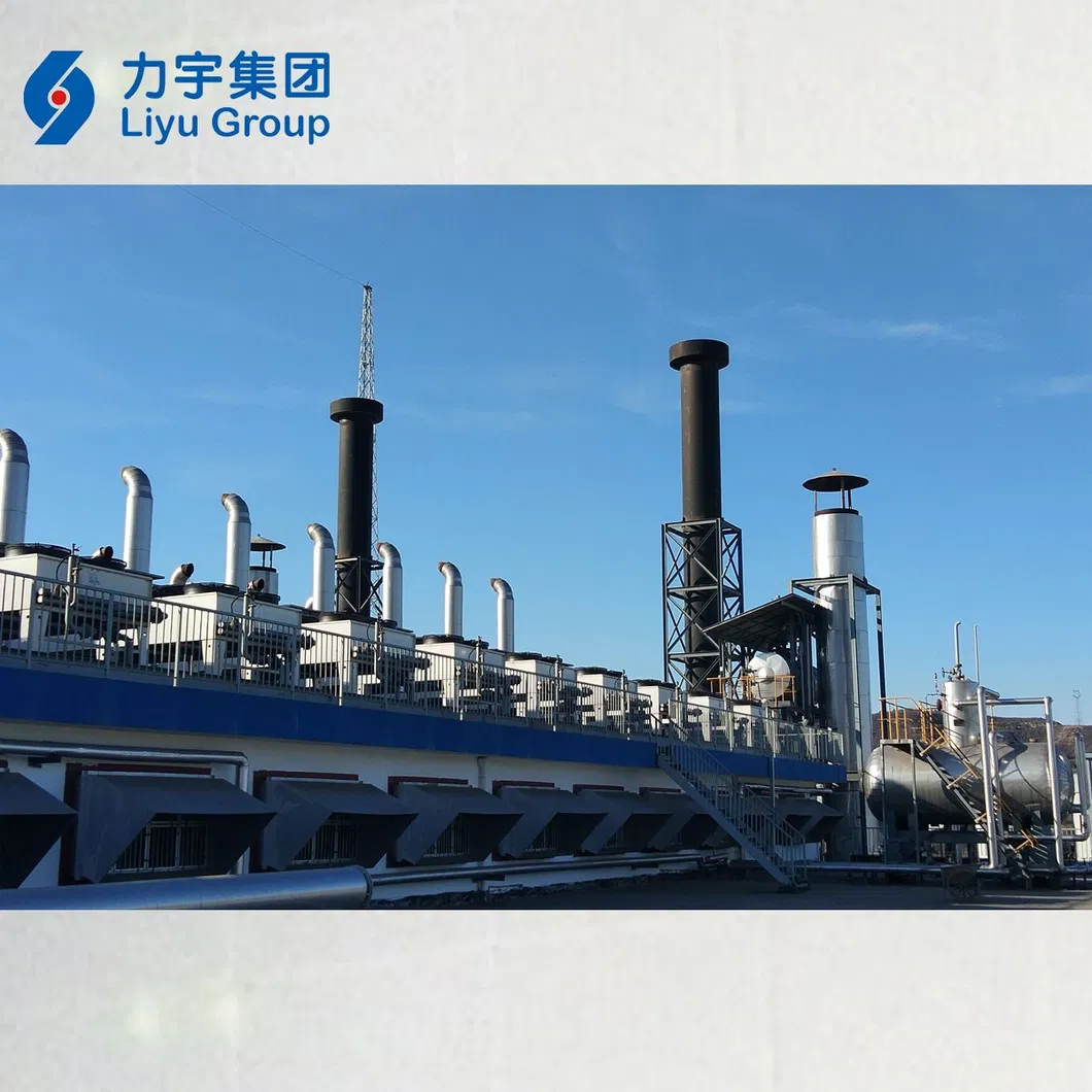 Liyu Distributed Power Plants 1500kw High Economic Efficiency and Availability LV High Concentration Methane Gas Energy Generator Set