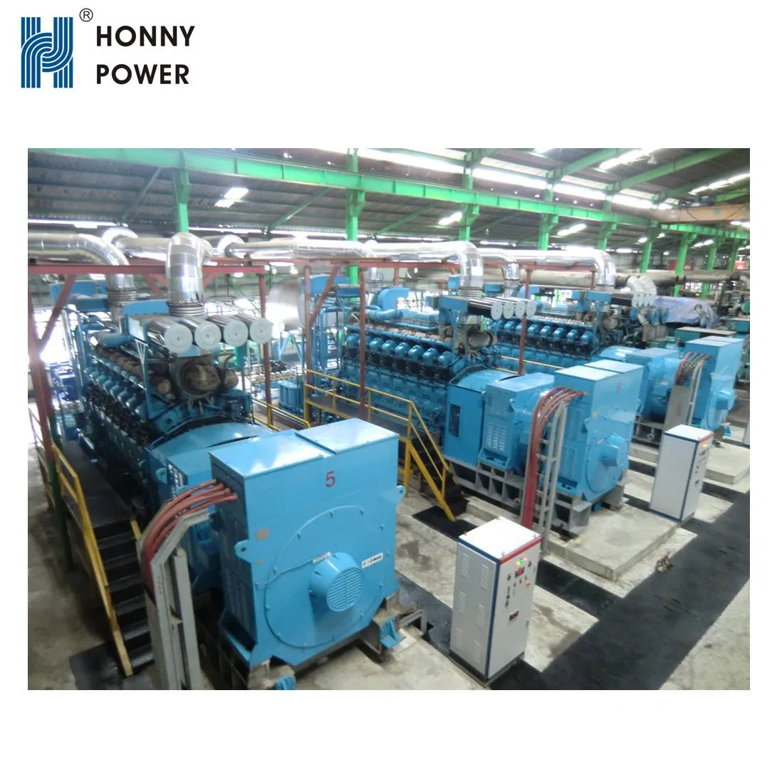 Natural Gas CHP & Cchp Cogenerator