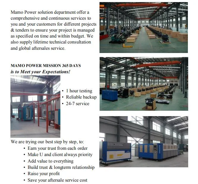 OEM Factory Direct Sale Diesel Engine 6ltaa8.9-G2 180kw/225kVA 200kw/250 Power Electric Genset Generator