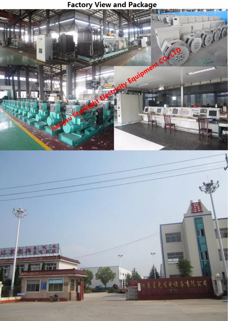 Perkins Generator 200kw Diesel Generator with 50 Centigrade Radiator