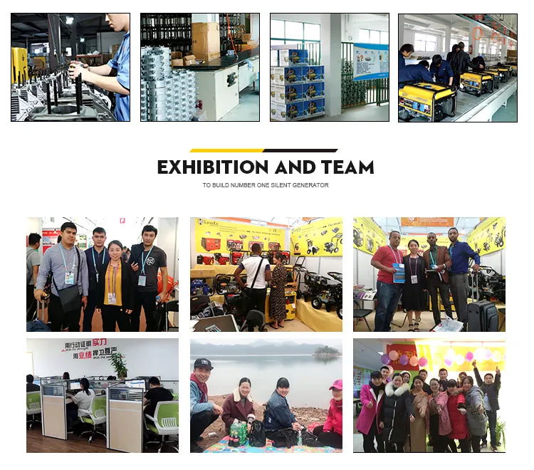 Portable Use 5kVA Silent Gasoline/Petrol Generator 5000W Lantop Design