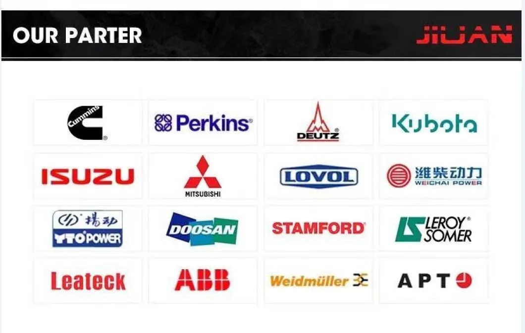 Professional in Cummins Electric Power Diesel Engine Generator Spare Parts