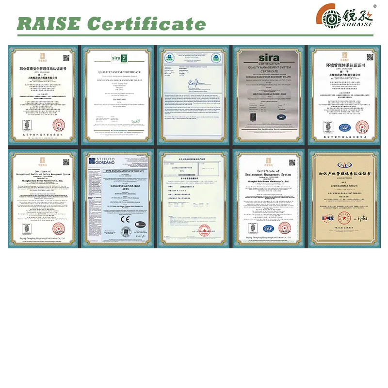 Raise G-Power 8kw/9kw/10kVA/11kVA Rated Power Single/3 Phases Recoil/Electric Start Open Type Gasoline/Petrol Generator