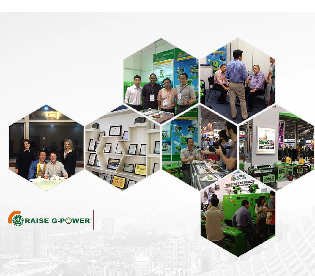 Raise G-Power 8kw/9kw/10kVA/11kVA Rated Power Single/3 Phases Recoil/Electric Start Open Type Gasoline/Petrol Generator