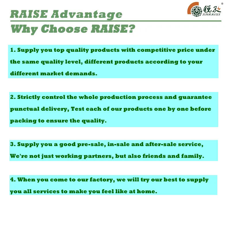 Raise G-Power 8kw/9kw/10kVA/11kVA Rated Power Single/3 Phases Recoil/Electric Start Open Type Gasoline/Petrol Generator