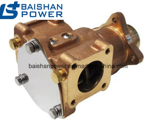 Seawater Pump Sea Water Pumps 3900415 5318753 3907458 3912019 4BTA3.9m, 6bt5.9m 6BTA5.9 M2, 6CT8.3m 6CTA8.3m and 6CTA8.3m2 3912019