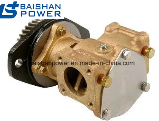 Seawater Pump Sea Water Pumps 3900415 5318753 3907458 3912019 4BTA3.9m, 6bt5.9m 6BTA5.9 M2, 6CT8.3m 6CTA8.3m and 6CTA8.3m2 3912019