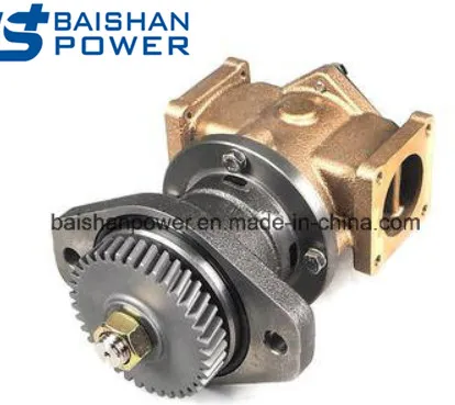 Seawater Pump Sea Water Pumps 3900415 5318753 3907458 3912019 4BTA3.9m, 6bt5.9m 6BTA5.9 M2, 6CT8.3m 6CTA8.3m and 6CTA8.3m2 3912019