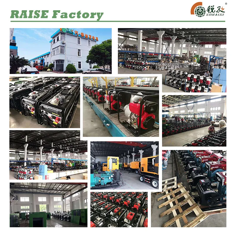 Shanghai Raise 5kw 10~160A Gasoline Power Generator Welding Machine Dual-Purpose Unit Gasoline Welding Generator Prices