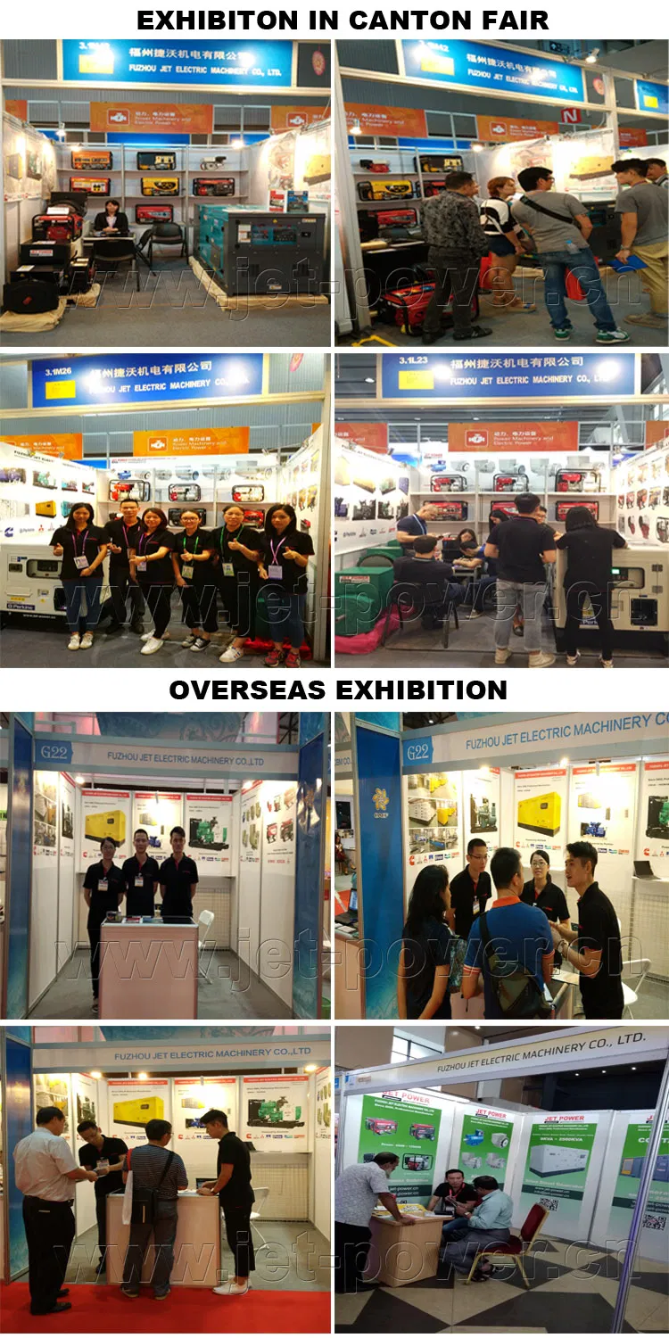 Single Phase 5500W 5.5kw Power Generator Petrol