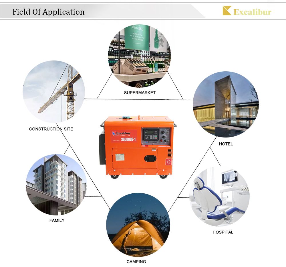 Small Enegry Single Phase 220V 6kw Power Silent Diesel Generator