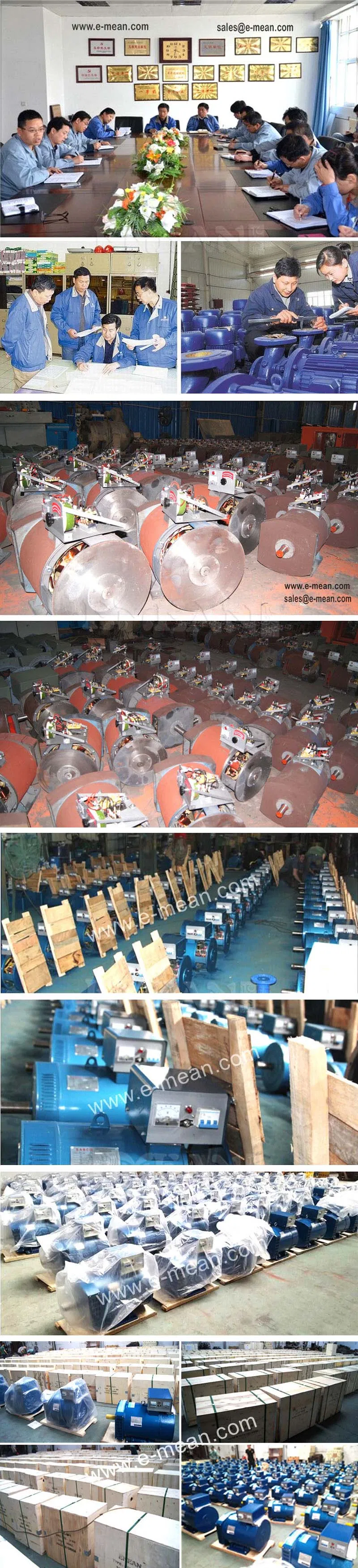 Three Phase AVR Brushless 6.5kw-1000kw (Stanford STF) Alternator