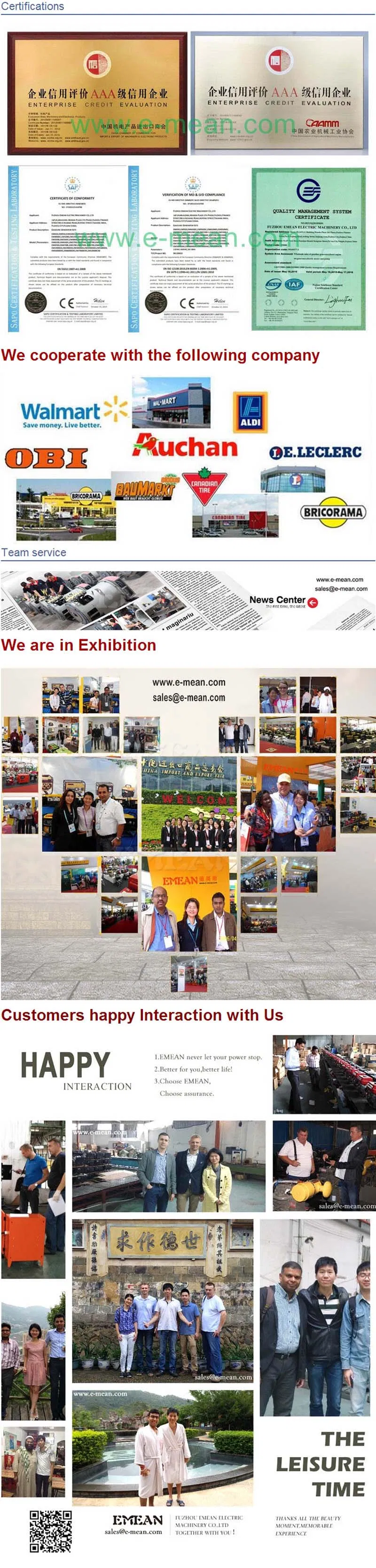 Three Phase AVR Brushless 6.5kw-1000kw (Stanford STF) Alternator