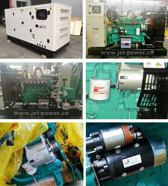 Water Cooled Gas Engine Nt855g-G240 200kw 250kVA Biogas Generator Set